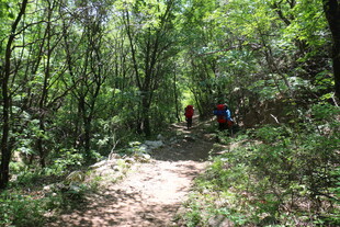 林间徒步小道上的背包客