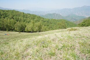 山间绿野 尽显自然之美