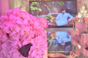 粉色绣球花与茶具景观