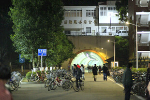 夜晚校园拱桥下的热闹景象