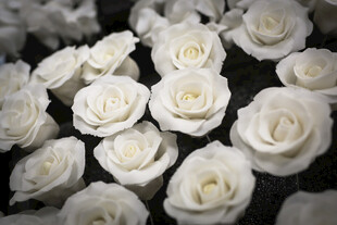 工艺品白色玫瑰花特写