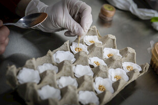 工艺品工人手工白花