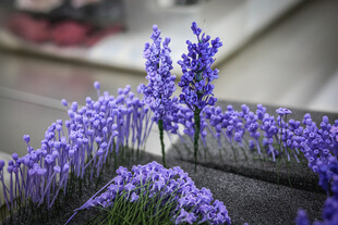 工艺品紫色风信子绽放的美丽