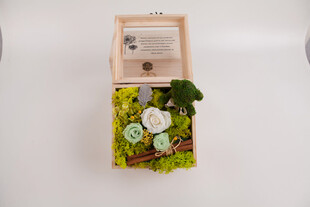 工艺品木质创意多肉植物小盆栽