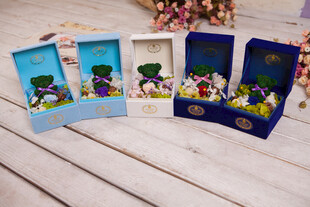 工艺品多彩盒装玩偶展示