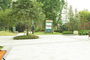 公园休闲广场绿意景致