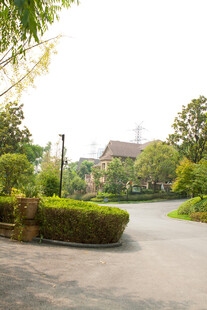 宁静优美的园林道路景观