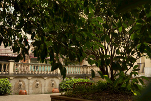 园林景致中的古朴建筑