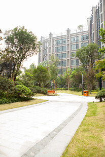 小区优美景观步道