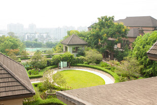 庭院景观 绿植环绕的优雅住所