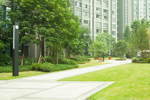 城市中的静谧绿化步道