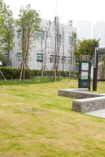 城市中绿意盎然的户外空间