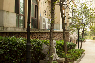 庭院绿植景观 静谧美好