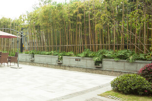 庭院竹林景观休闲区