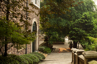 庭院小径旁的绿植与建筑