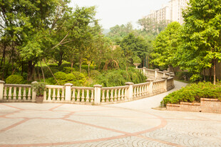 公园中的宁静步道景观