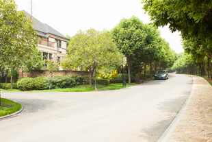 宁静优美的乡村道路景观