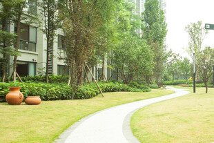 小区内的幽静景观步道