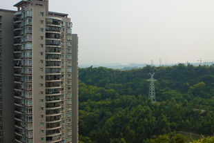 高楼矗立在葱郁山林间