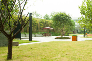 公园内的开阔草地与树木