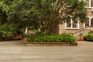 庭院绿植环绕的宁静空间