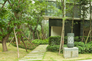 庭院景观 绿植环绕的建筑