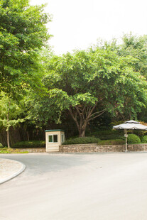 户外绿树环绕的开阔场地