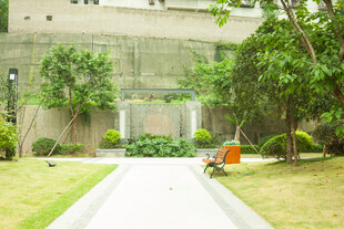 庭院小径绿植景观