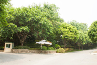 绿树环绕的静谧户外场景