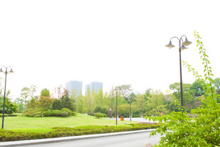 城市公园绿意盎然的景致