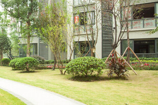 小区优美园林景观