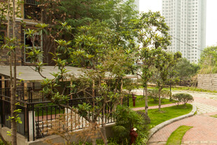 小区内的绿化景观