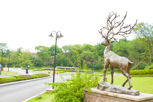 公园中的精美鹿形雕塑