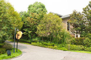 优雅静谧的别墅庭院景观