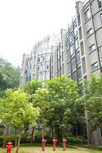 小区绿植环绕的居民楼