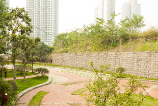 城市中的静谧绿化景观