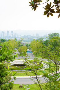 城市中的绿意公园景观