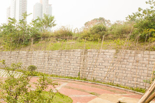 户外砖砌围墙与绿植景观