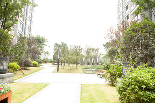 小区内的优美园林景观