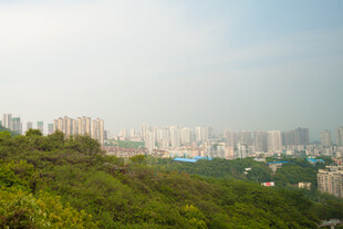 山上俯瞰城市景观