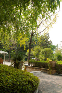 静谧园林景观小道