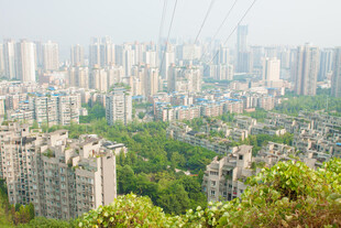 俯瞰城市与绿树景观