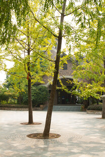 庭院绿树成荫的静谧景致