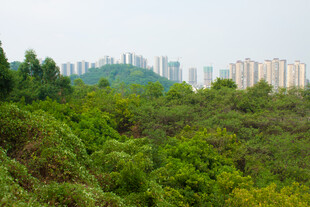 山林间远眺城市高楼
