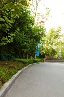 林间蜿蜒小路 绿意盎然