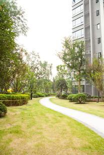 小区内的绿化小径景观