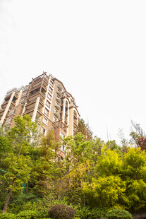 绿树环绕的多层建筑