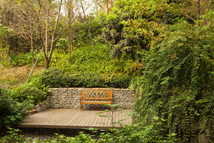 林间长椅 静享自然之美