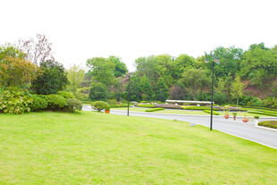 绿意盎然的公园景观