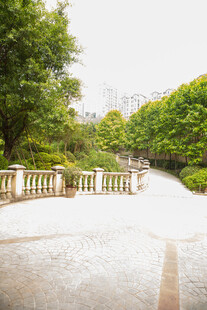 公园中的石桥与葱郁树木